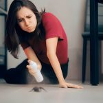 Is Diy Pest Control Effective A Guide To Managing Pests On Your Own