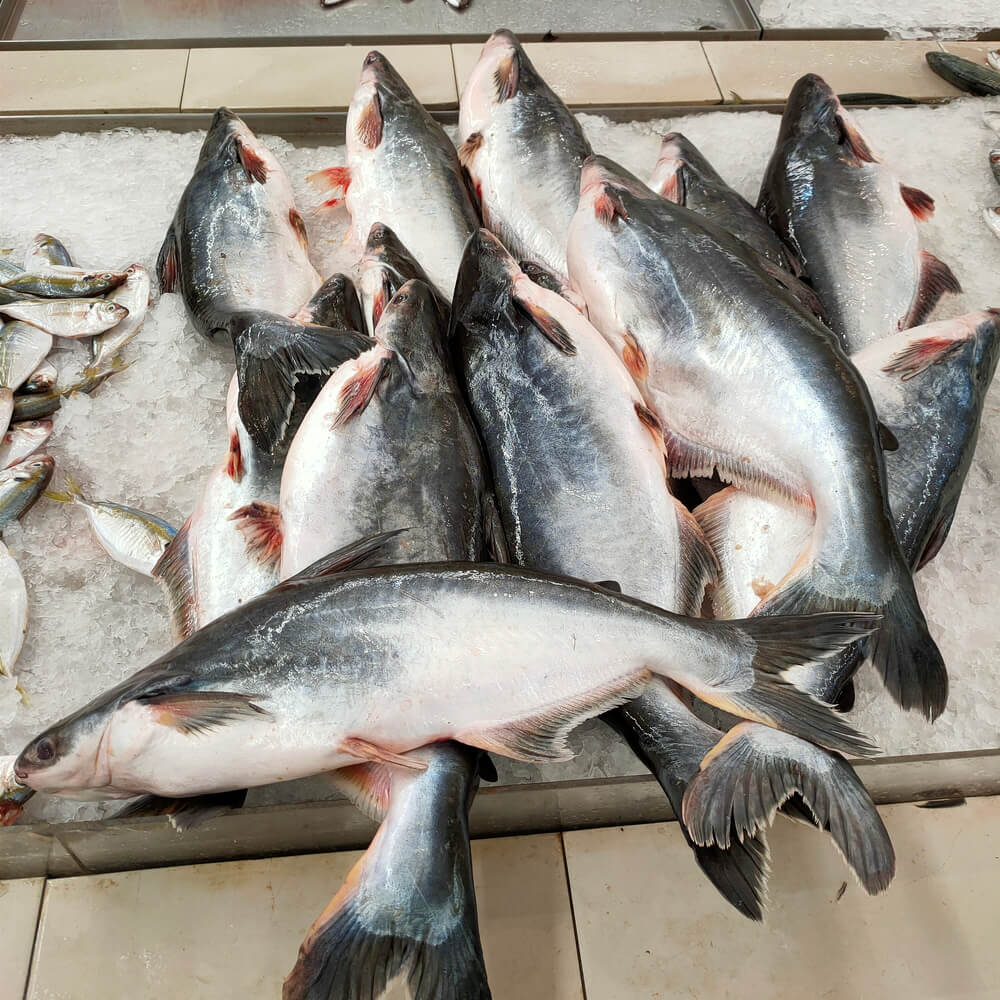 Nutritional Profile Of Swai Fish Is It Healthy